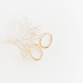 The Athena Oval Hoops by LLUME Jewelry, featuring a vintage gold finish and leverback closure, are elegantly displayed on a delicate white coral branch against a pristine white background.