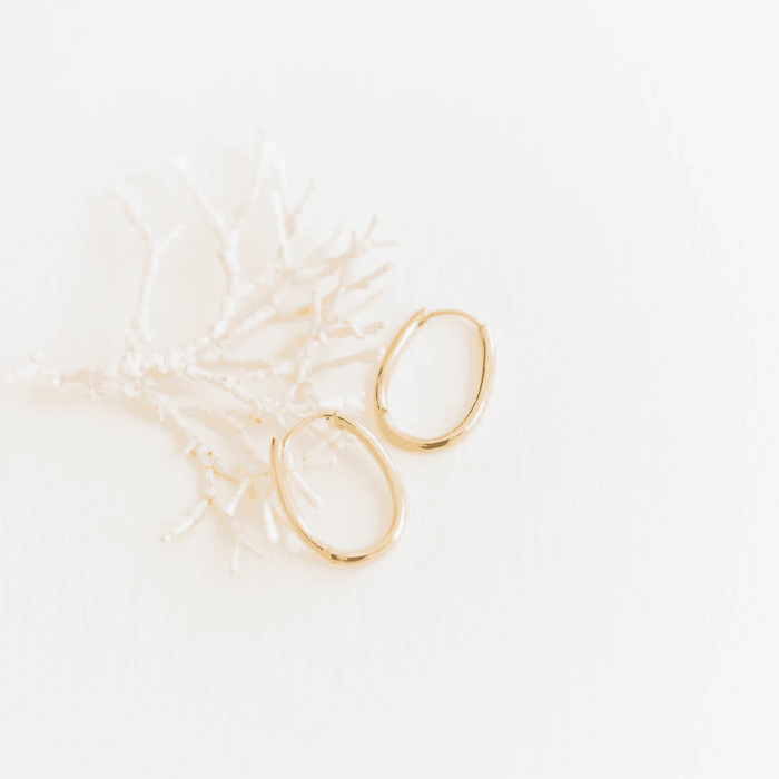 The Athena Oval Hoops by LLUME Jewelry, featuring a vintage gold finish and leverback closure, are elegantly displayed on a delicate white coral branch against a pristine white background.