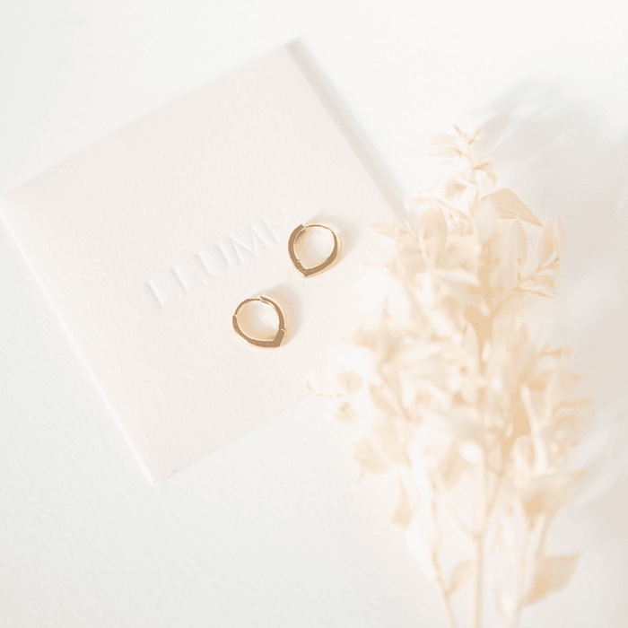 A pair of Classic Pointed Hoop earrings by LLUME Jewelry, crafted in small, textured 18k gold fill, displayed on a white card reading LLUME, with delicate dried foliage nearby against a soft white background.