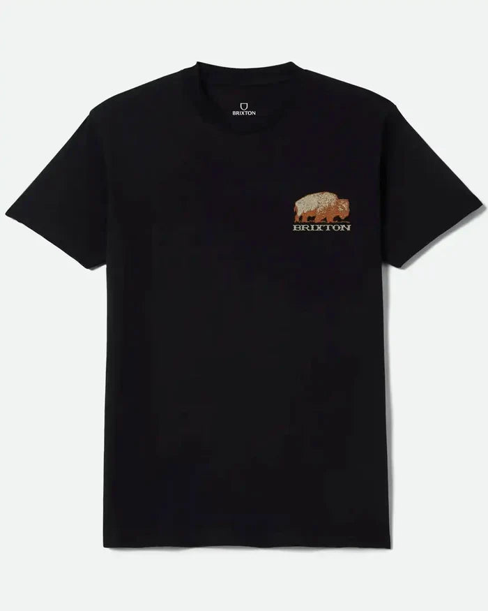 Coba Standard T-Shirt - Black
