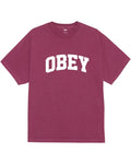 Collegiate T-Shirt - Pigment Berry