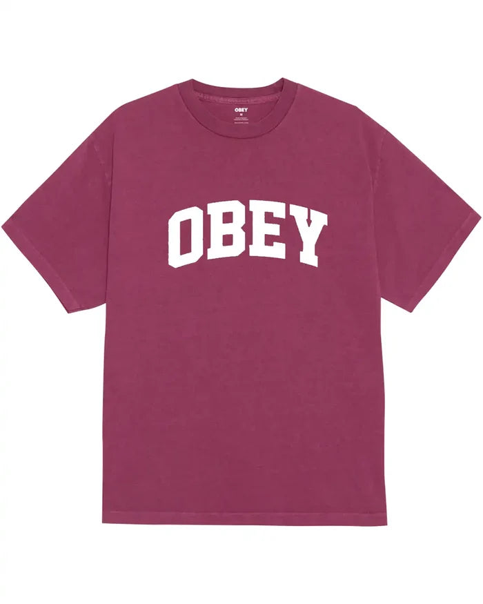 Collegiate T-Shirt - Pigment Berry