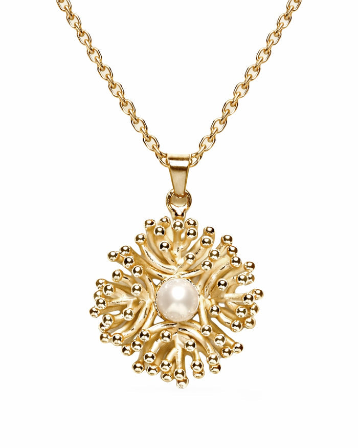 Korallen Kette aus 925 Sterling Silber mit Süßwasserperle