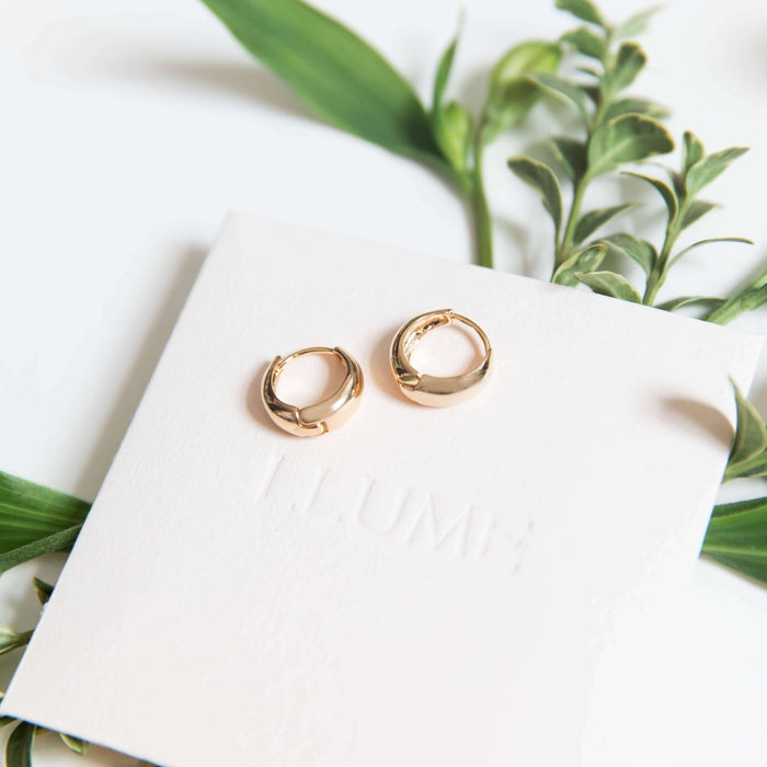 The Day-to-Day Hoop by LLUME Jewelry: a pair of small 18k gold hoop earrings displayed on a white card with green leafy stems—ideal for vintage jewelry lovers.