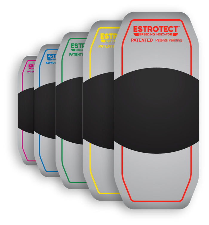 Estrotect Heat Patch