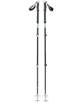 Expedition 3 Ski Poles - Desert Sage