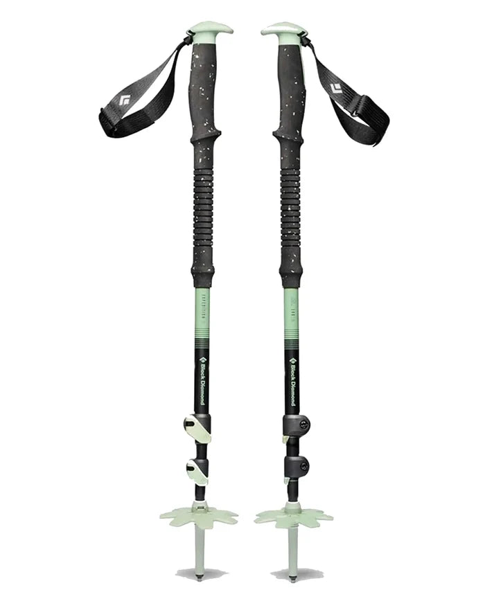 Expedition 3 Splitboarding Poles