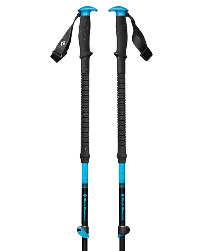 Expedition Ski Poles - Desert Sky
