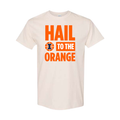 Illinois Basketball Hail to the Orange Tee