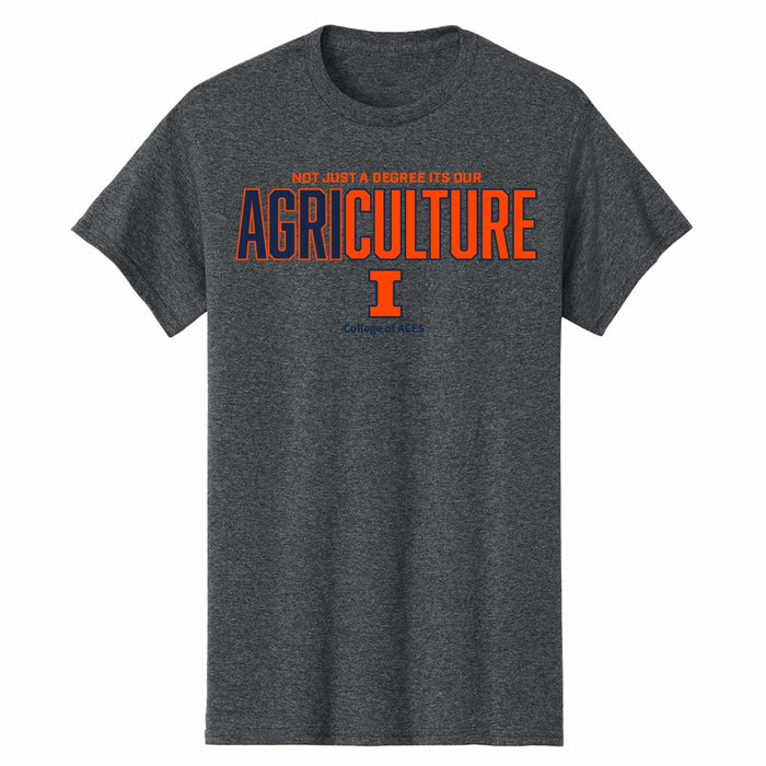 Illinois College of ACES AgriCULTURE Grey Tee