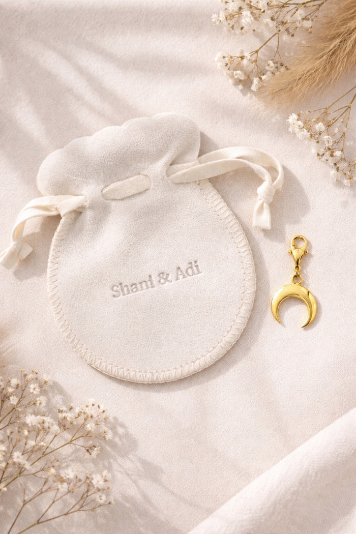 Lace charm shoe jewelry for sneakers, Clip-on shoe charm, gold tone stainless steel half moon double horn