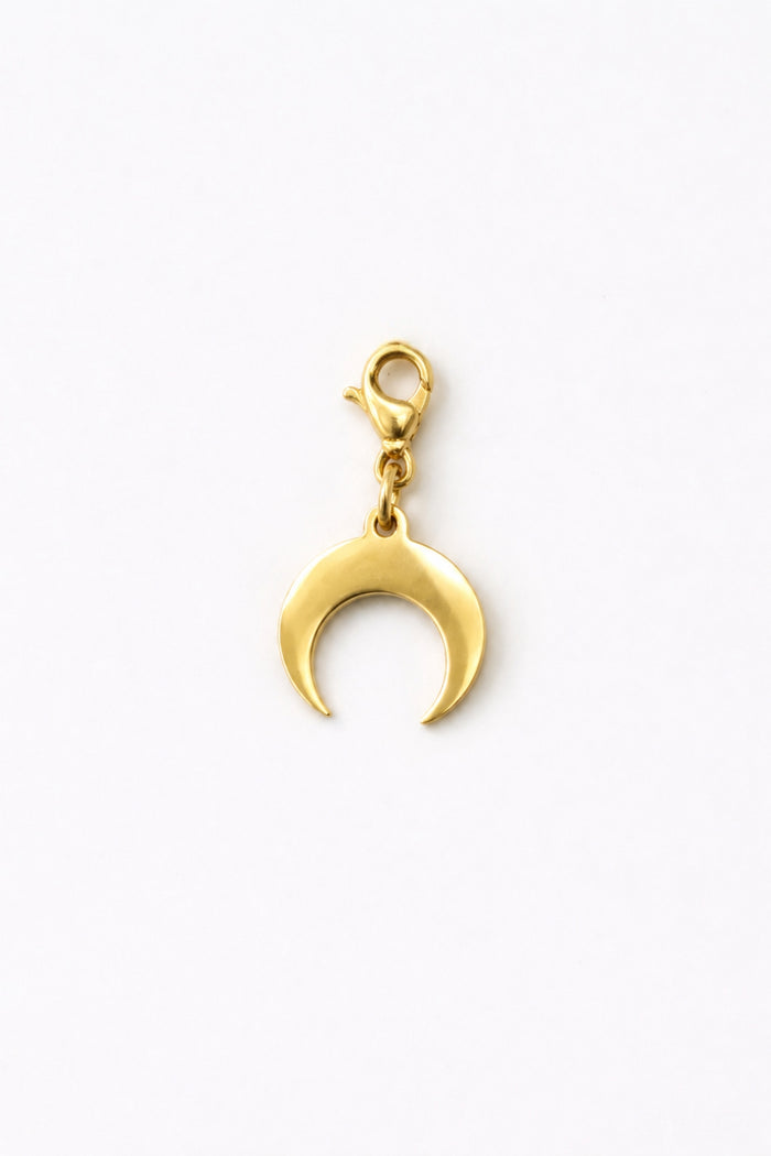 Lace charm shoe jewelry for sneakers, Clip-on shoe charm, gold tone stainless steel half moon double horn