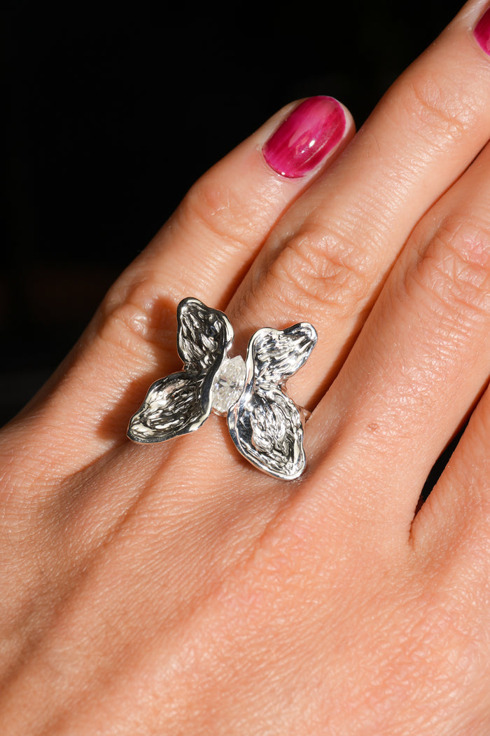 Metamorphosis of Light Ring