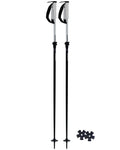 Paintbrush Ski Poles - Black