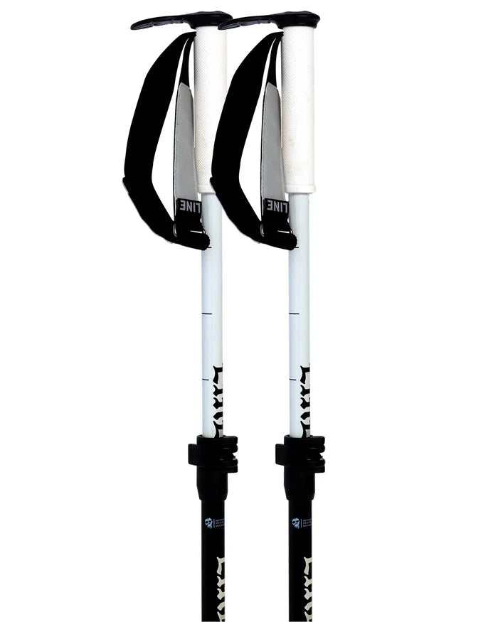 Paintbrush Ski Poles - Black