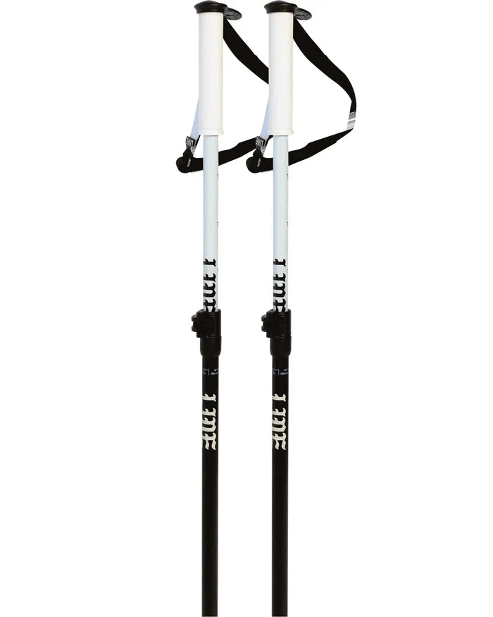 Paintbrush Ski Poles - Black
