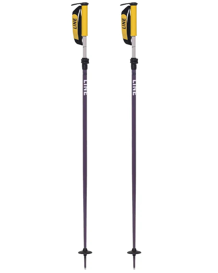 Paintbrush Ski Poles