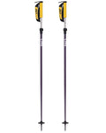 Paintbrush Ski Poles