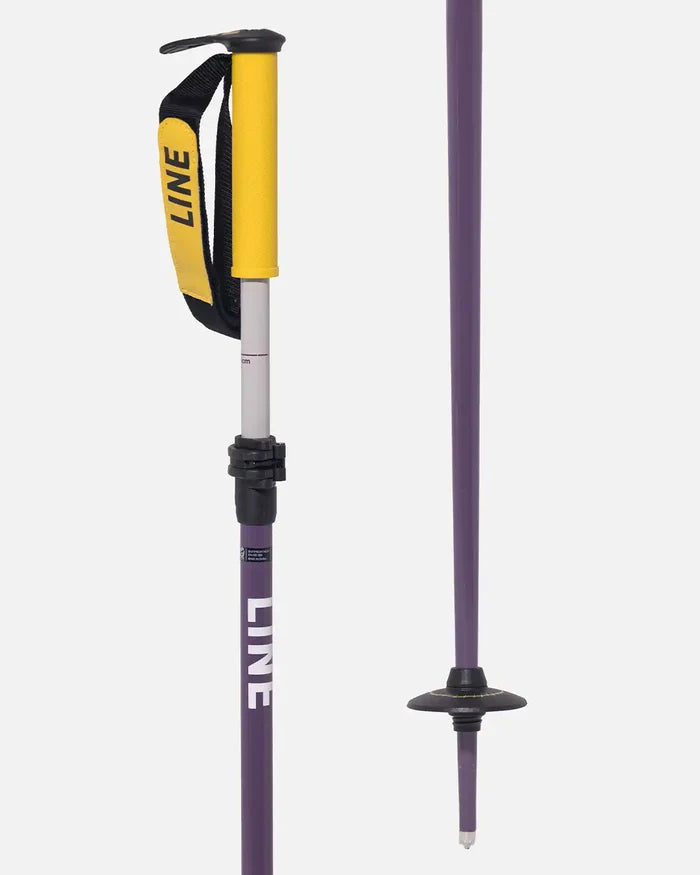 Paintbrush Ski Poles