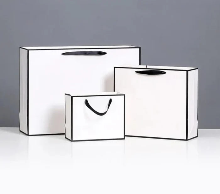 Premium Paper Bags with Black Border  (Pack of 10)