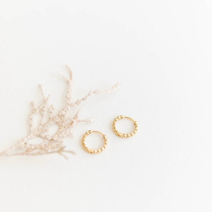 A pair of Prosecco Beaded Hoops by LLUME Jewelry is displayed beside a delicate coral branch against a white background.