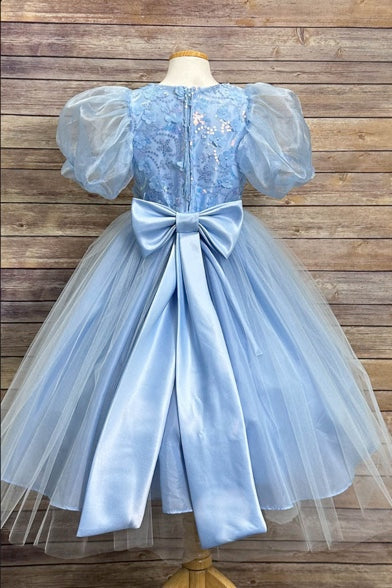 PUFF ORGANZA SLEEVE WITH SEQUIN AND FLOWER BODICE DRESS