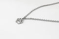 A stainless steel chain necklace with a silver-tone stainless steel paw pendant, displayed against a white background.