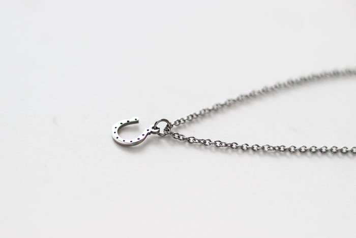 Small silver horseshoe necklace for men, stainless steel chain necklace, waterproof