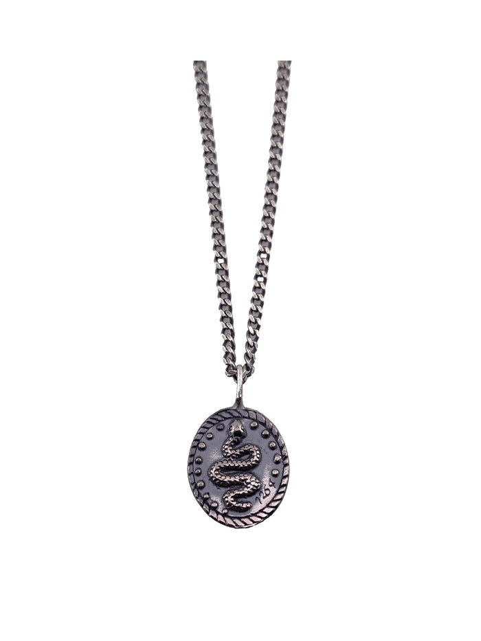 Snake Coin Necklace