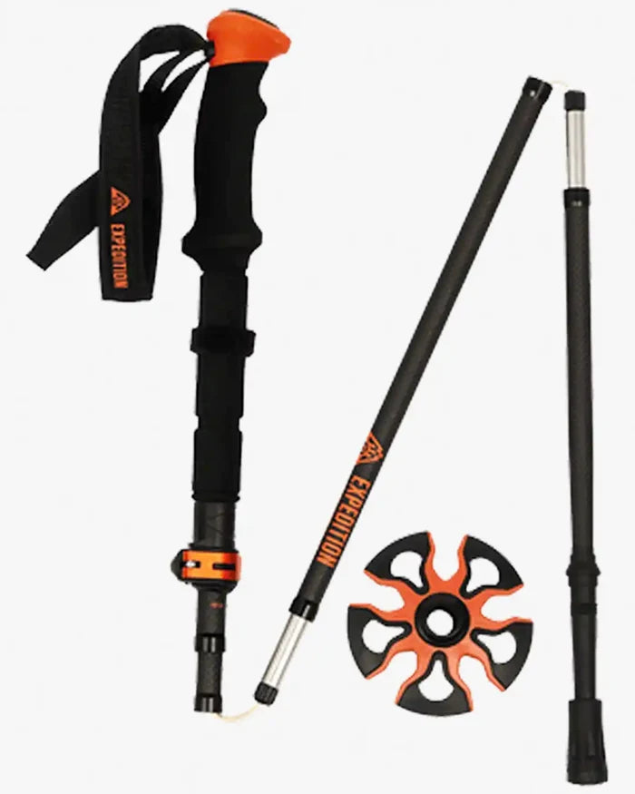 Splitboard Touring Poles