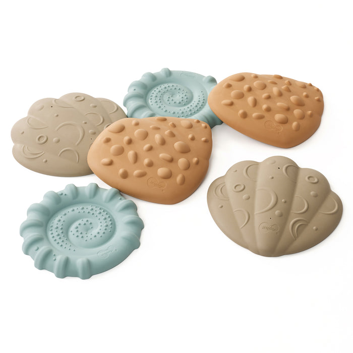 Set of tactile shells in various shapes on a white background
