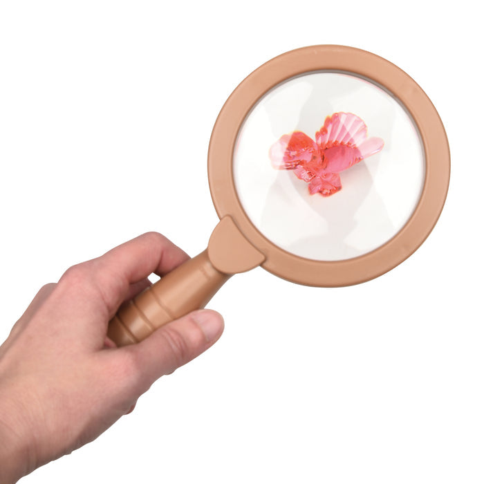 Hand holding a magnifying glass over a small model of a fish on a white background