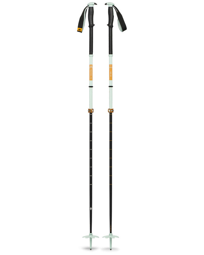 Traverse Pro Ski Poles - Foam Green