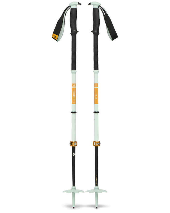 Traverse Pro Ski Poles - Foam Green