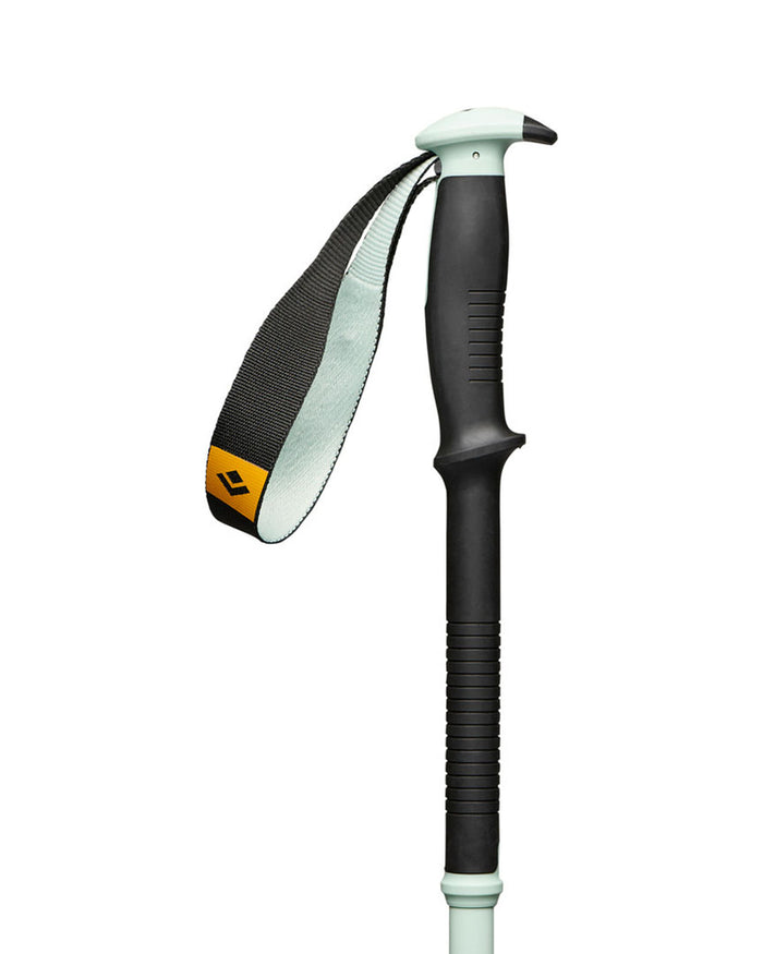 Traverse Pro Ski Poles - Foam Green