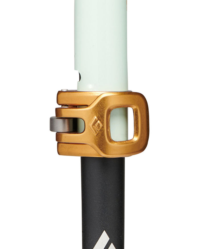 Traverse Pro Ski Poles - Foam Green