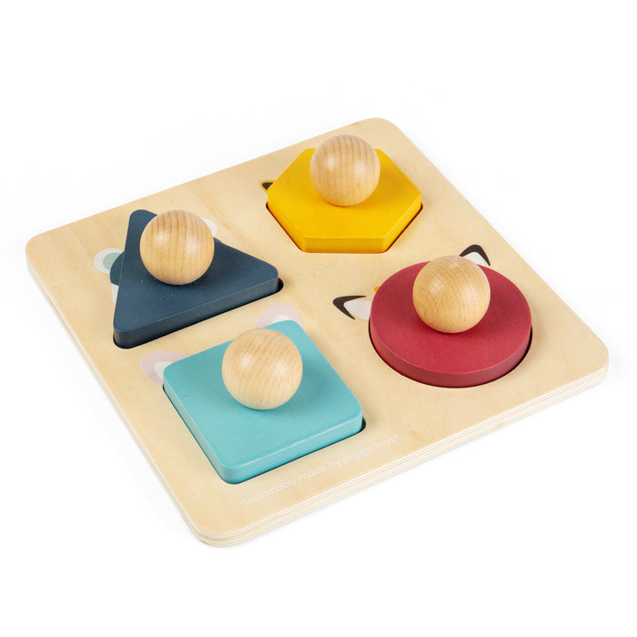 Wooden shape sorting toy with colorful blocks on a white background
